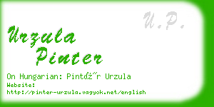 urzula pinter business card